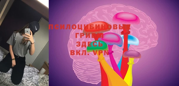 ALPHA-PVP Белокуриха