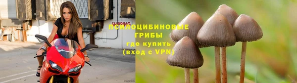 ALPHA-PVP Белокуриха